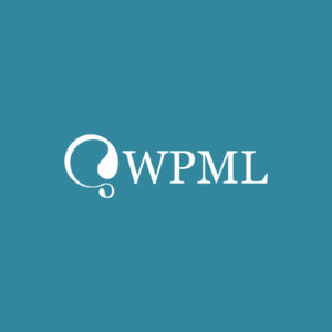 WordPress Multilingual CMS